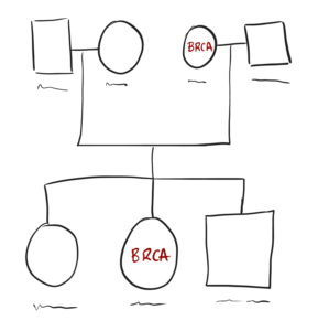 Family history: genealogic tree