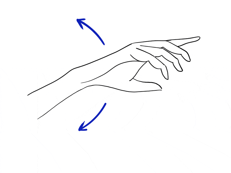 The 3 directions of motion of the wrist