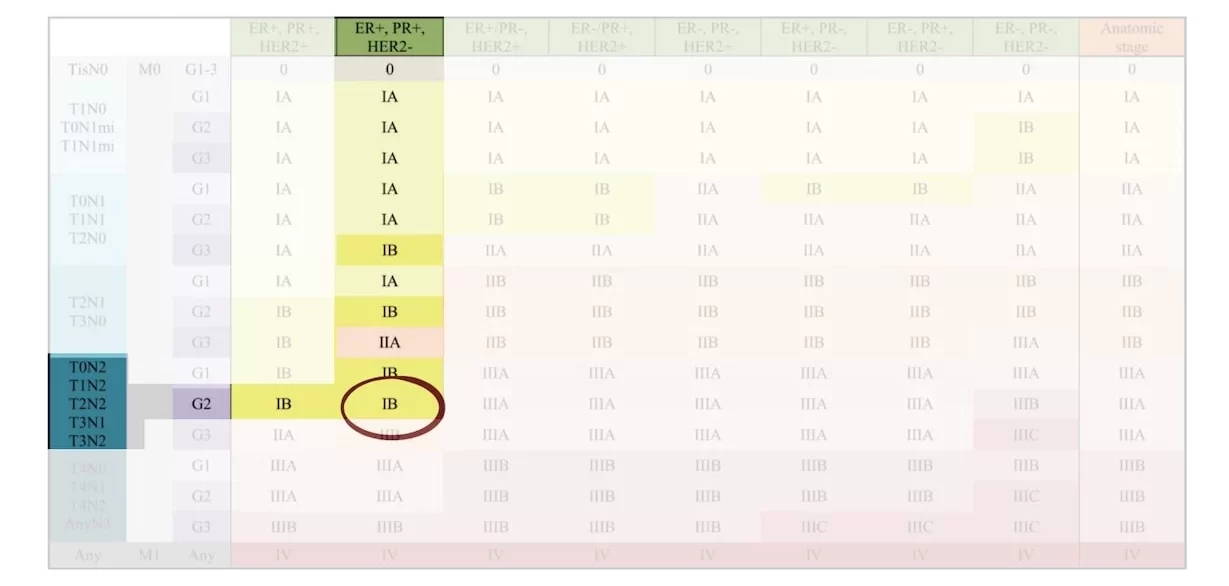 Breast cancer stage IB