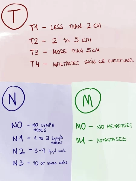 TNM classification as anatomic breast cancer stages