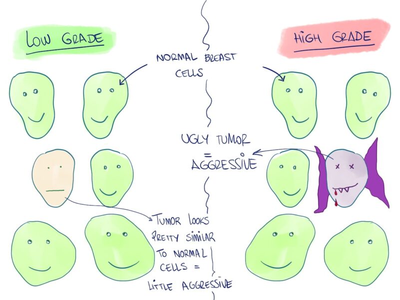 Tumor grades