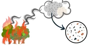 Wildfire smoke and particulate matter
